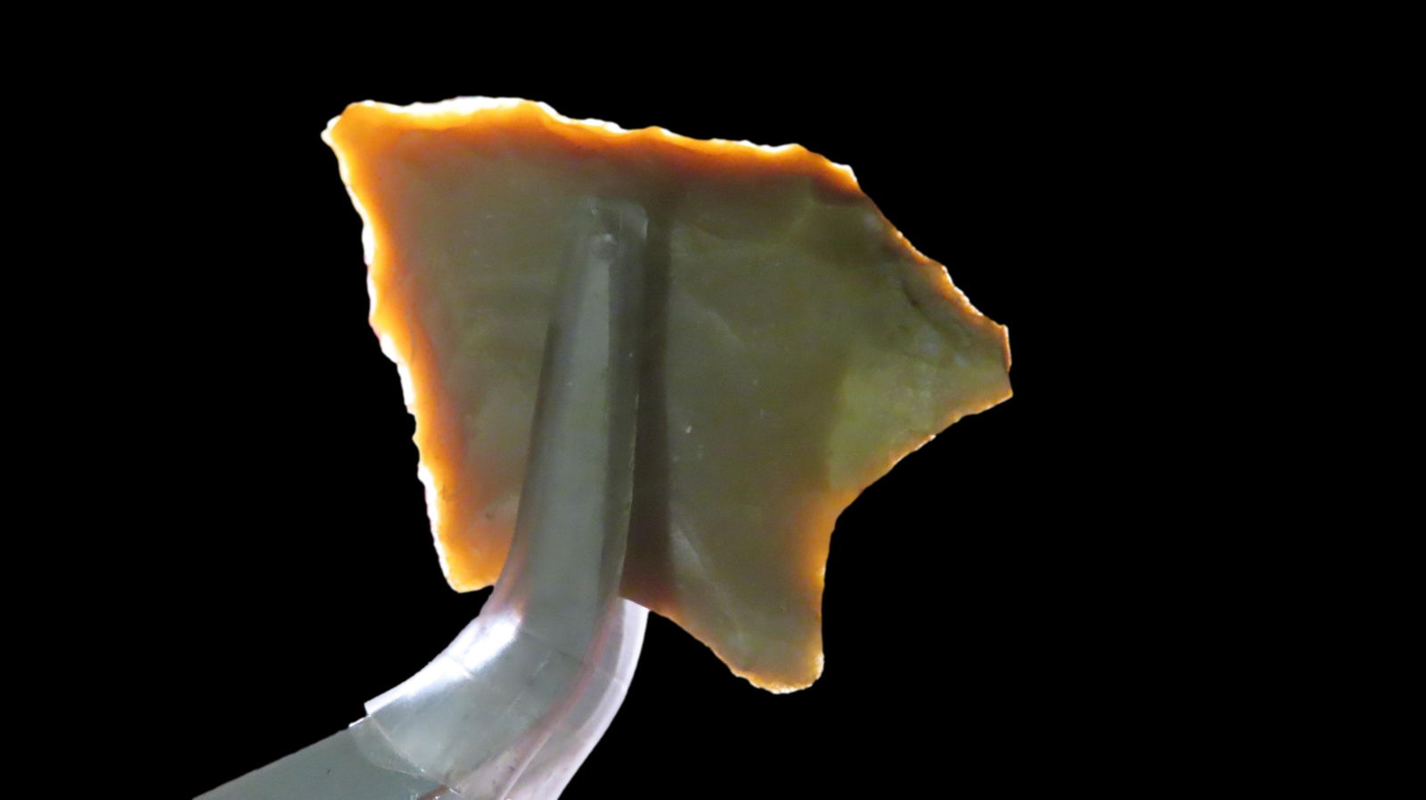 1 1/4" Pelican, Fluted Transitional Paleo, 10, 000 â€“ 6, 000 B.P., Found in Louisiana / Texas, (1 of 7)