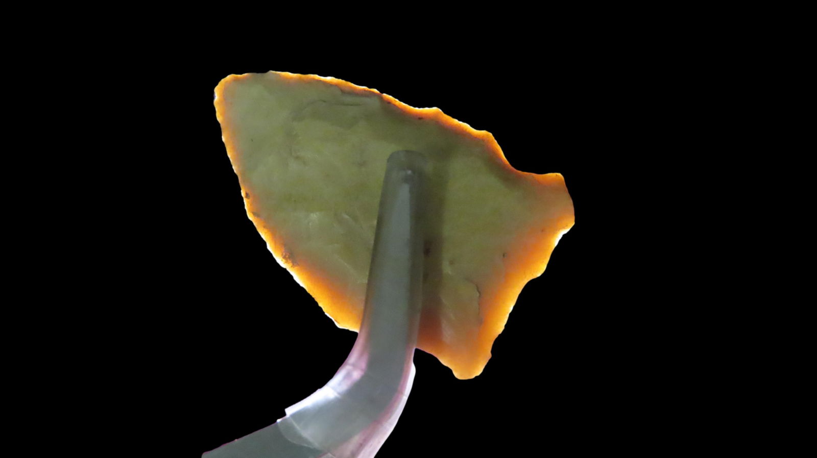 1 3/8" Pelican, Transitional Paleo, 10, 000â€“6, 000 B.P., Found in Louisiana / Texas, by (1 of 7)