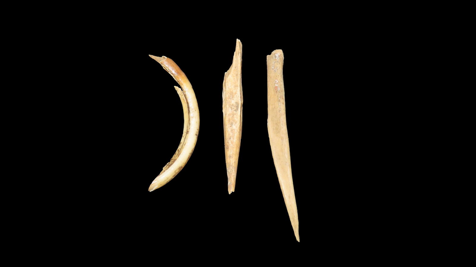 Selection of Bone Artifacts Hamilton Co., Ohio: Selection of Bone Artifacts Hamilton Co., Ohio