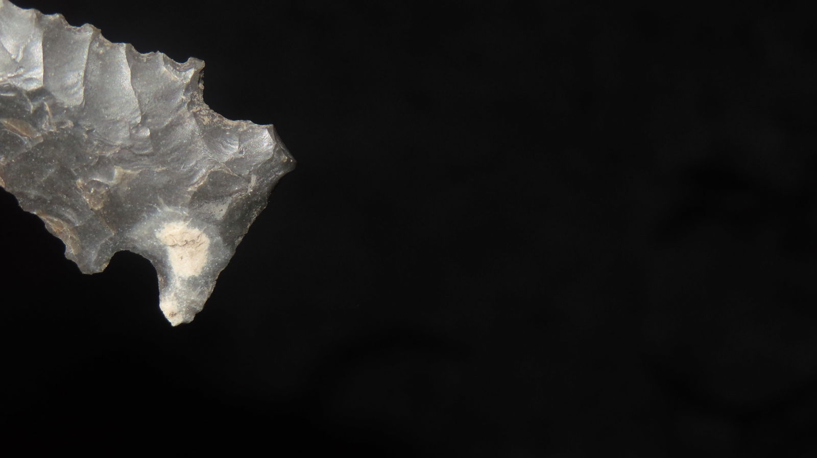 1. 7/8" Ensor Central Texas - 5