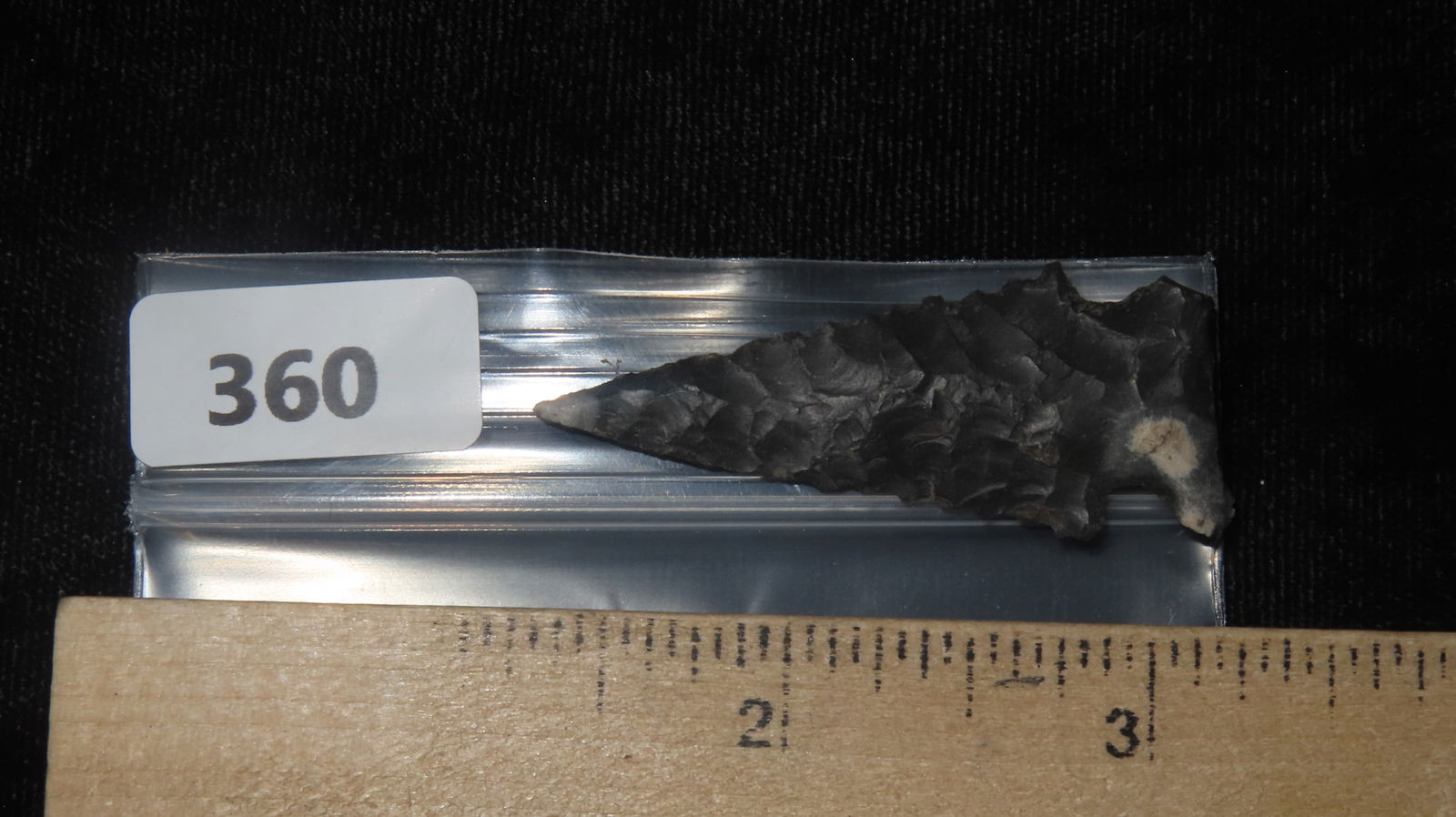 1. 7/8" Ensor Central Texas - 6