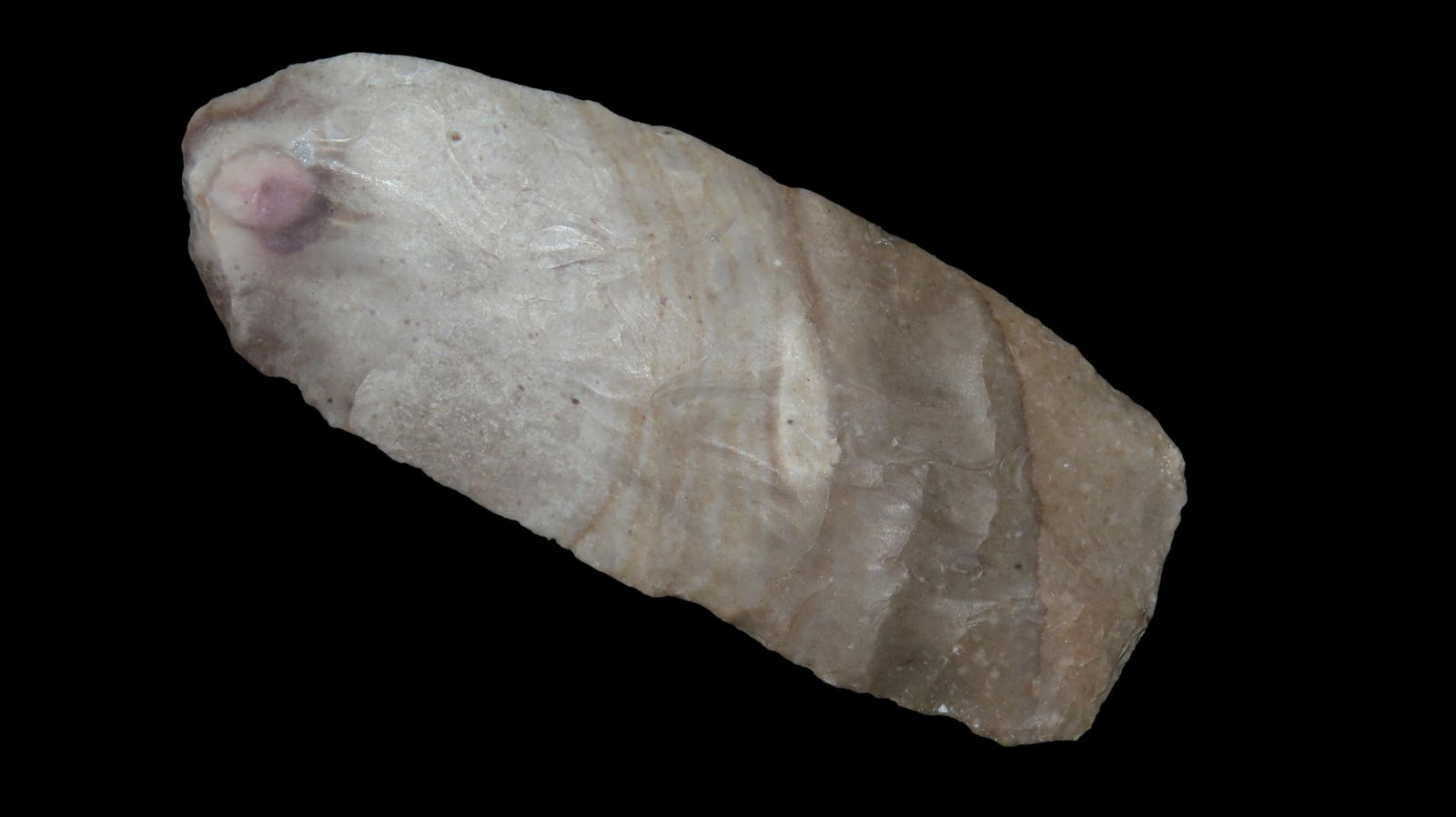 Paleo Blade Thin And Well Made Hays Co., Texas (1 of 6)