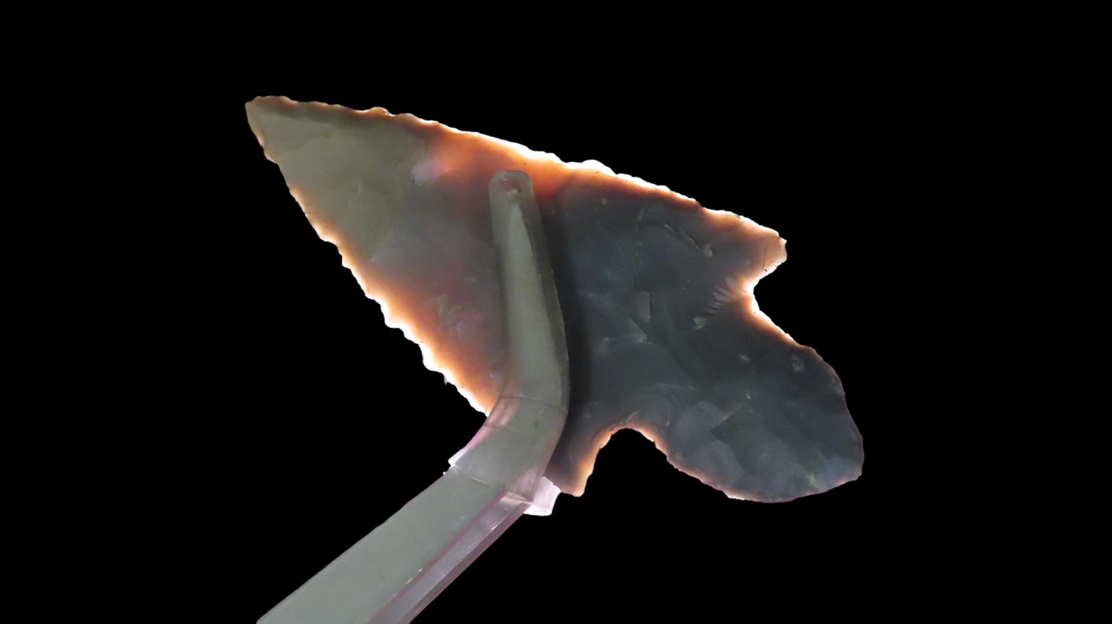 2.5/16" Turkeytail Northern Mississippi EX: Emmit Schultz Coll.: 2.5/16" Turkeytail Northern Mississippi EX: Emmit Schultz Coll.