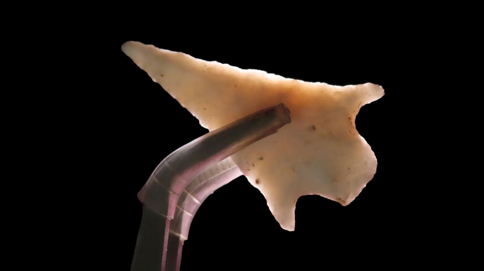 1.3/4" Yuma Point New Mexico EX: Emmit Schultz Coll.: 1.3/4" Yuma Point New Mexico EX: Emmit Schultz Coll.