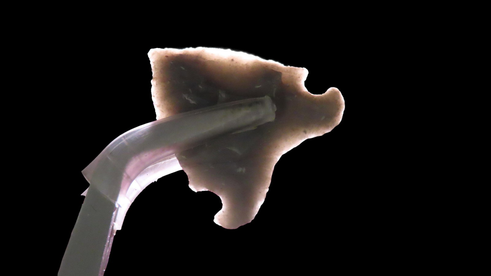 1" Hardway Dalton Northern Mississippi EX: Emmit Schultz Coll.: 1" Hardway Dalton Northern Mississippi EX: Emmit Schultz Coll.