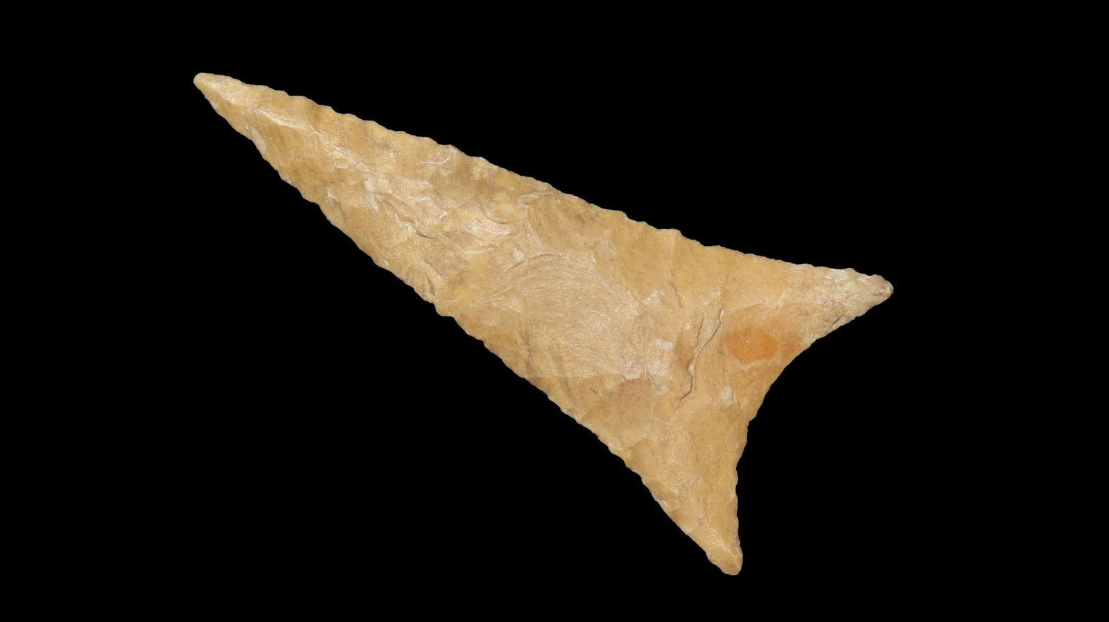 1.3/8" Tallahassee From Florida EX: Jeff Thompson Coll. (1 of 6)