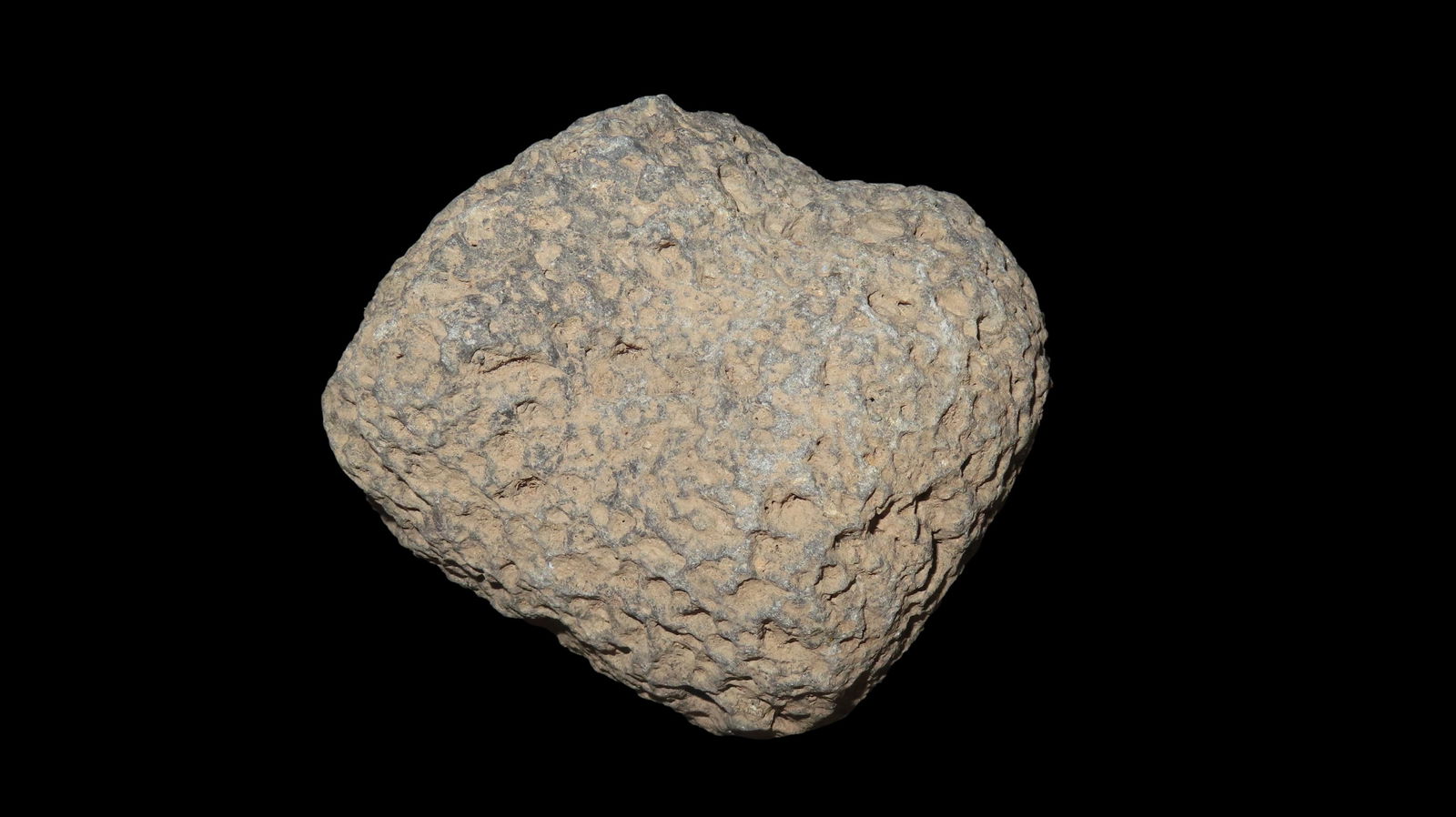 LAva Rock War Club Maul, Southern California 3.1/4" Long: LAva Rock War Club Maul, Southern California 3.1/4" Long