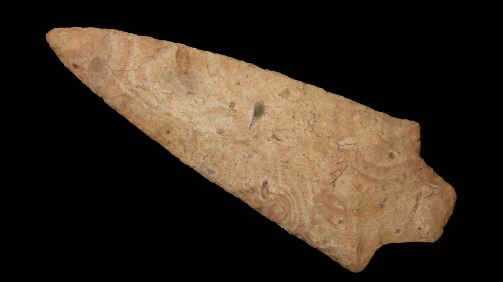 Dickson Central Oklahoma EX: Partain Kay Co., Chert 4.3/4"x1.3/4" (1 of 7)