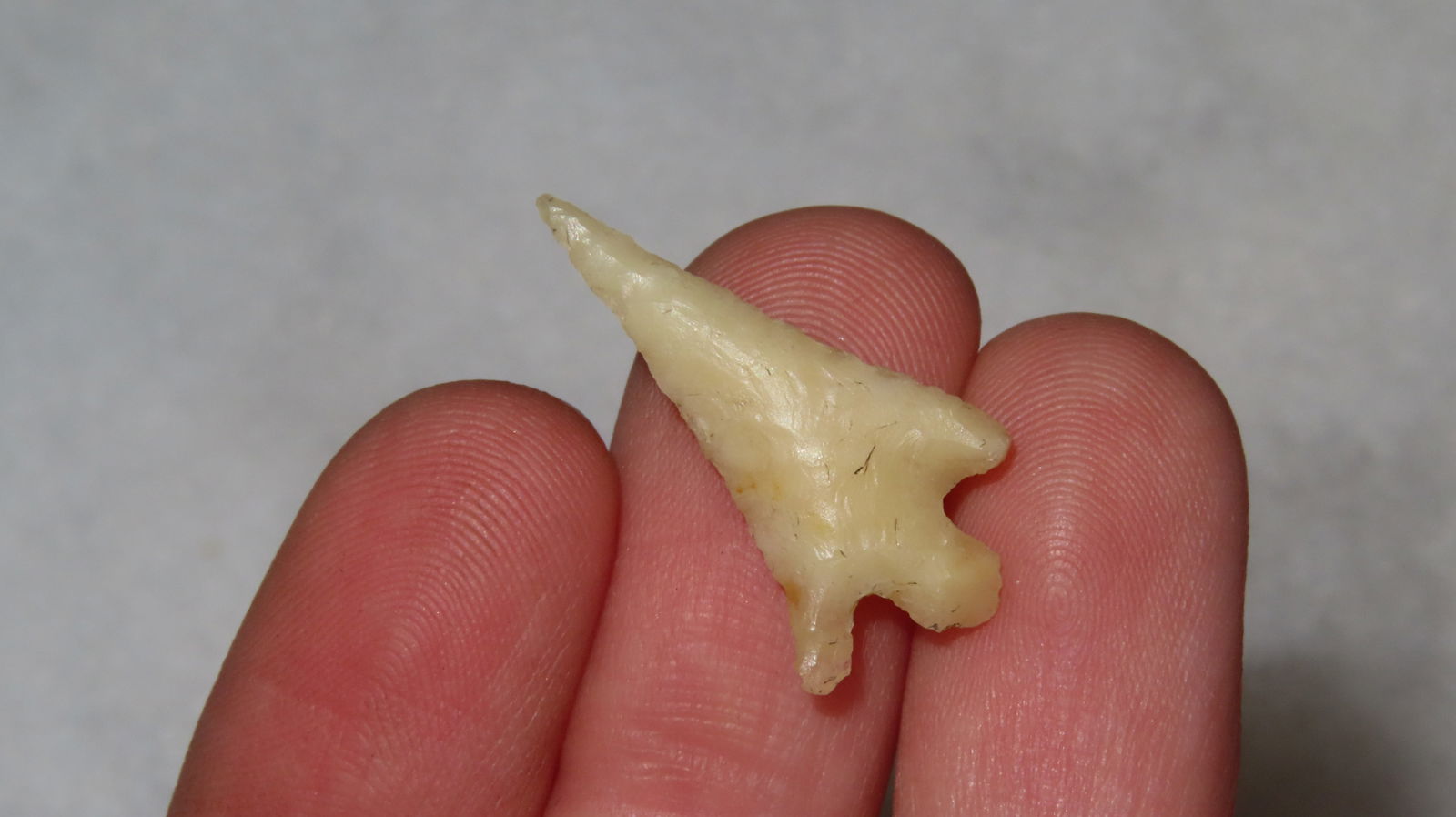 Columbian River Gem Point EX: Emmit Schultz Coll. - 3