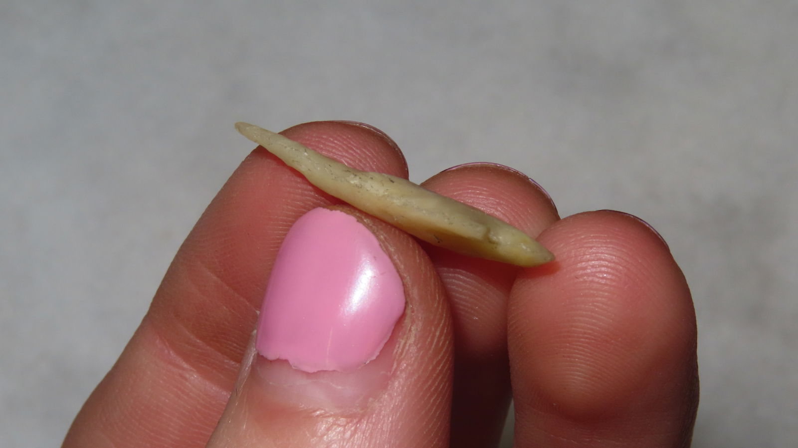 Columbian River Gem Point EX: Emmit Schultz Coll. - 4