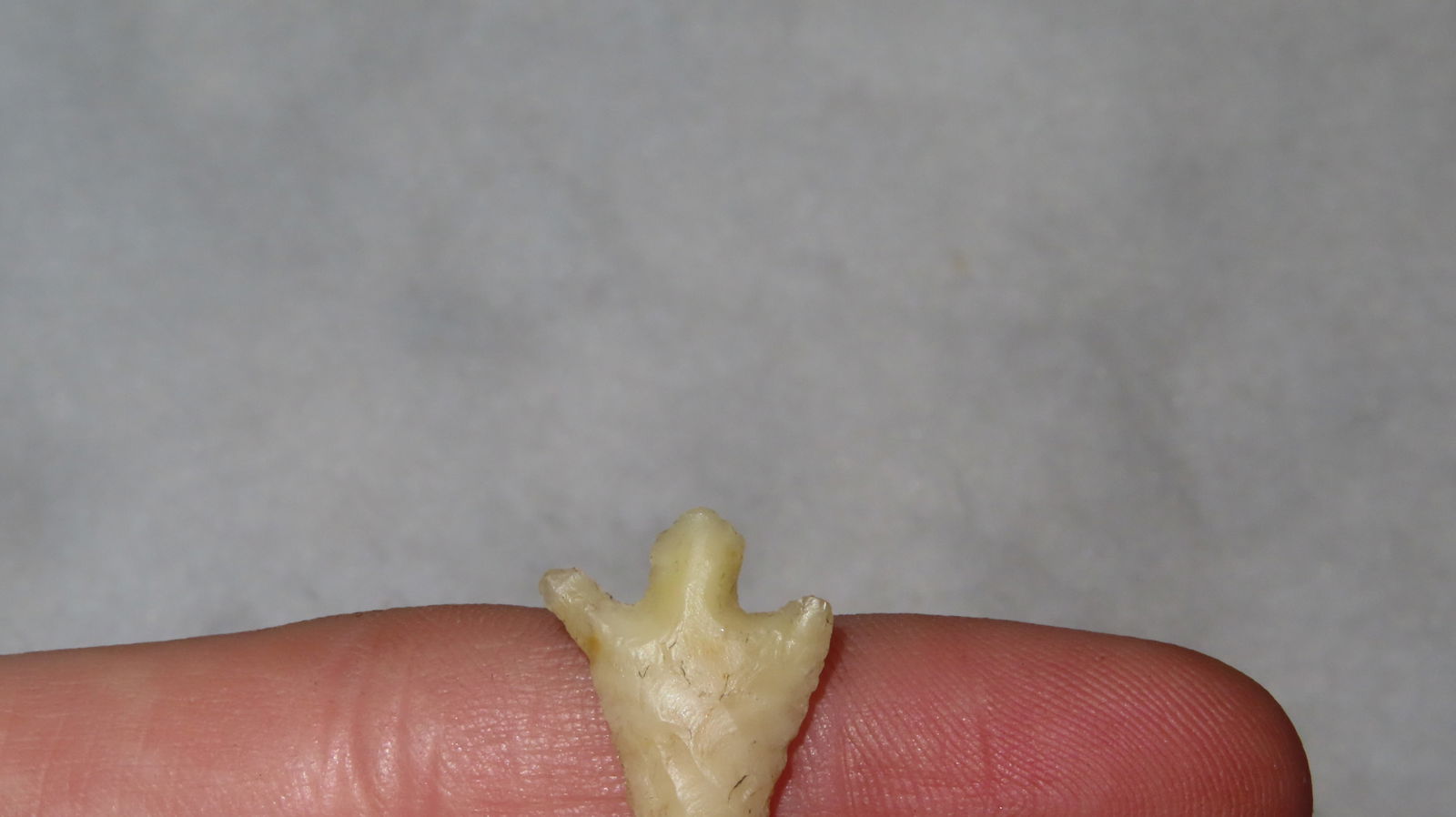 Columbian River Gem Point EX: Emmit Schultz Coll. - 6