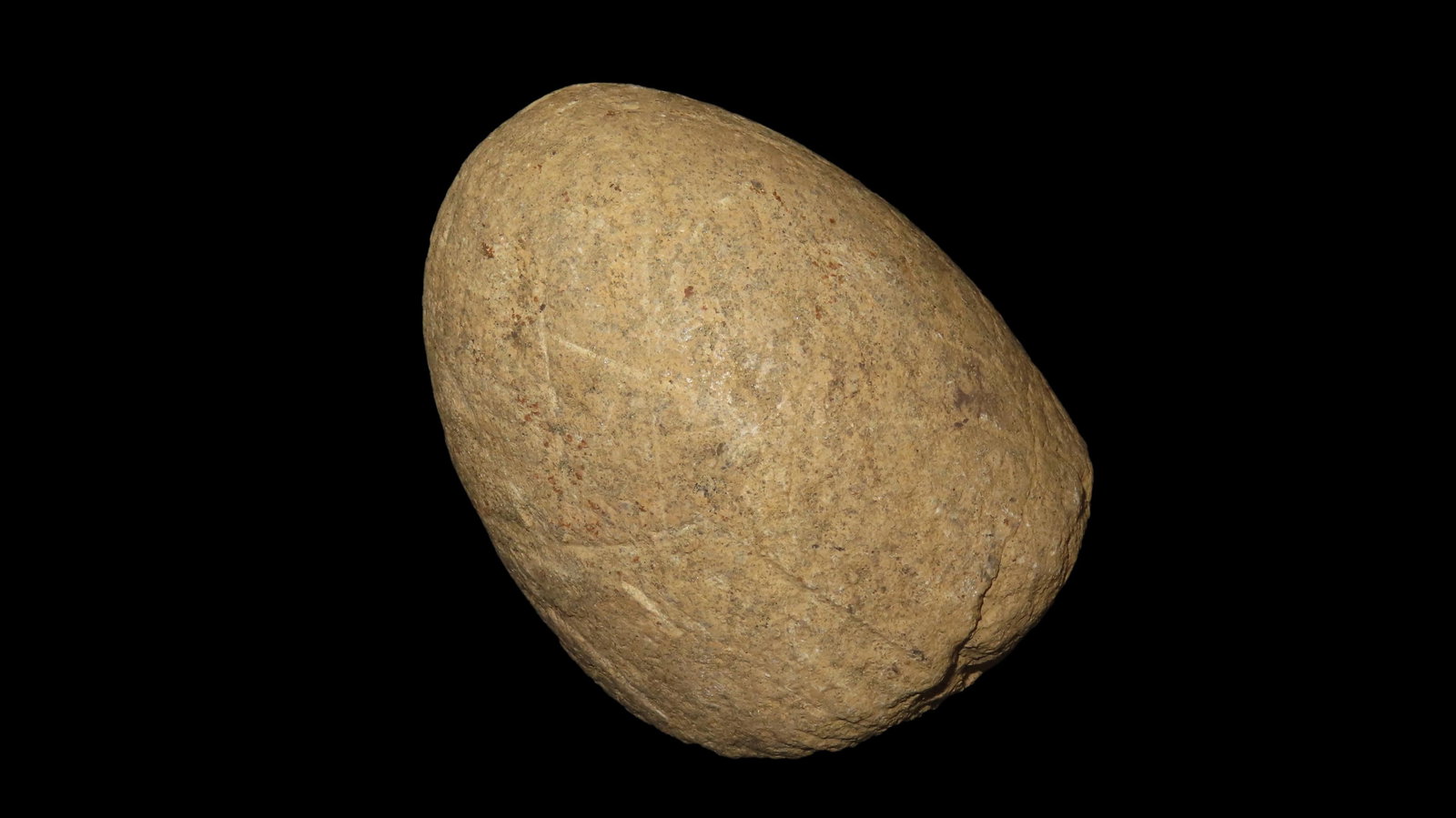 4" Hoof Pestle Found In Attleboro Mass, Marvin Farm/Beaver Site EX: Peter Engstrom/Dr. Robbins: 4" Hoof Pestle Found In Attleboro Mass, Marvin Farm/Beaver Site EX: Peter Engstrom/Dr. Robbins