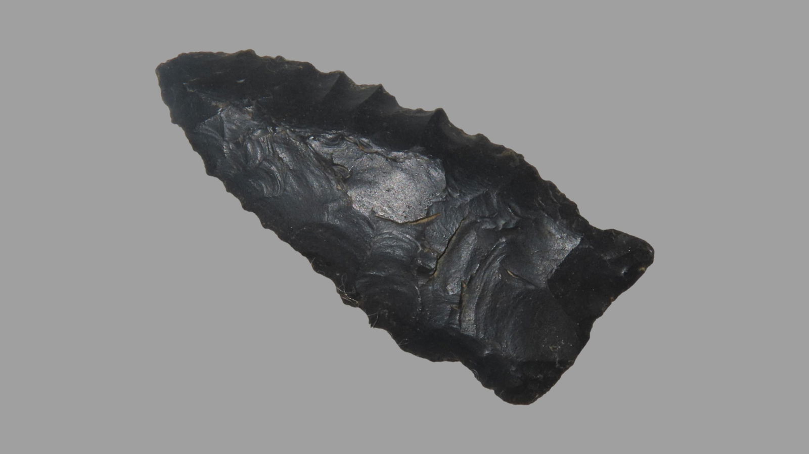 2.1/8" Paleo Archaic Fluted Base, Beveled Serrated Barron Co., Ky EX: Rocky Hall (1 of 6)