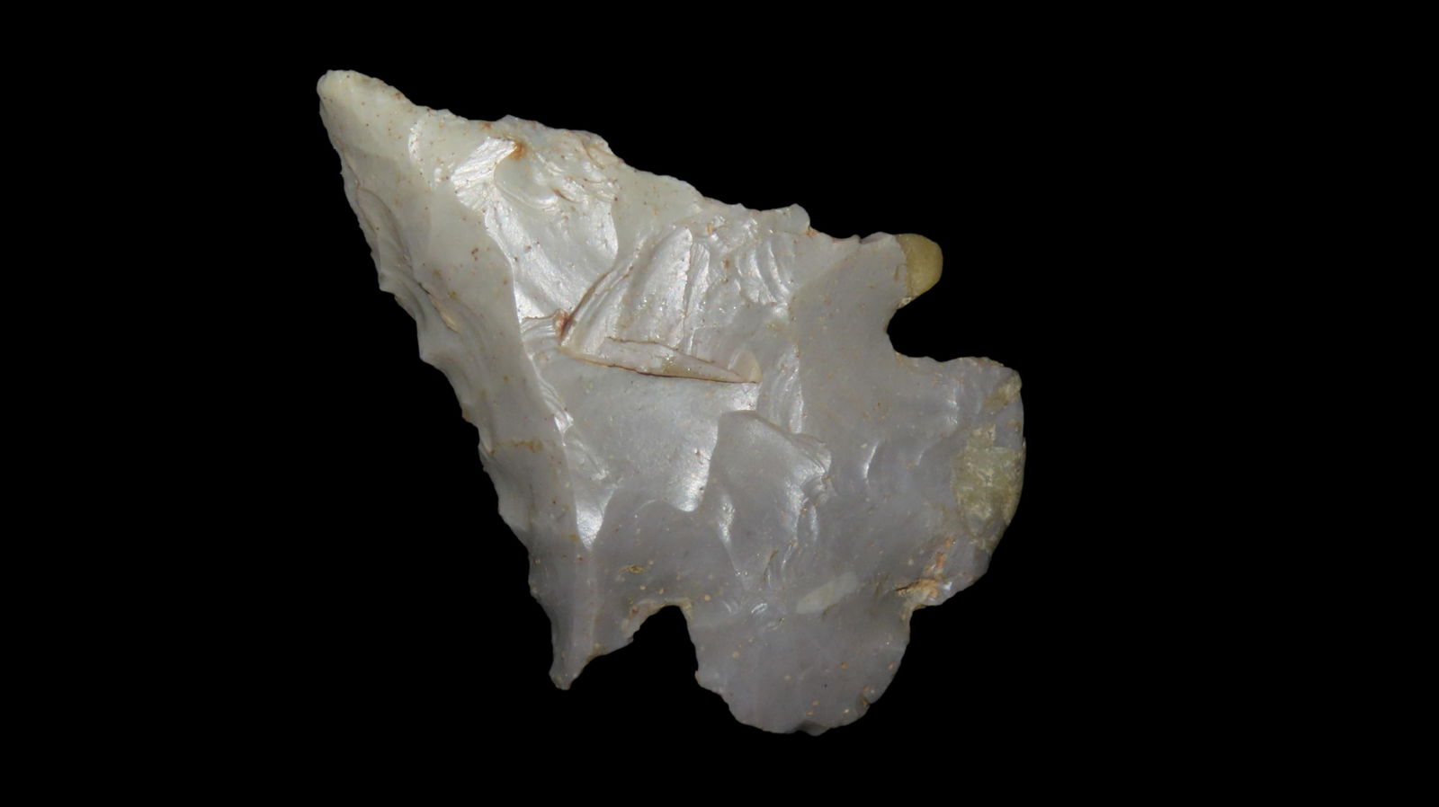 1.7/8" Hornstone Dovetail Indiana Some Restoration EX: Emmit Jones Coll. (1 of 6)