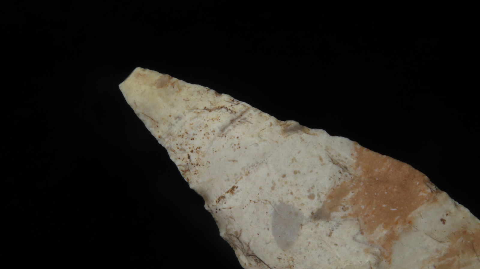 4" Sendalia Howard Co., Mo - 4