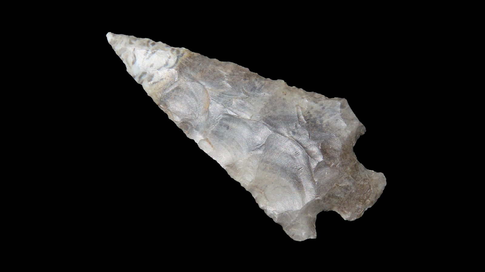 Outstanding Bird Point Arkansas/Missouri EX: Emmit Schultz Coll.: Outstanding Bird Point Arkansas/Missouri EX: Emmit Schultz Coll.