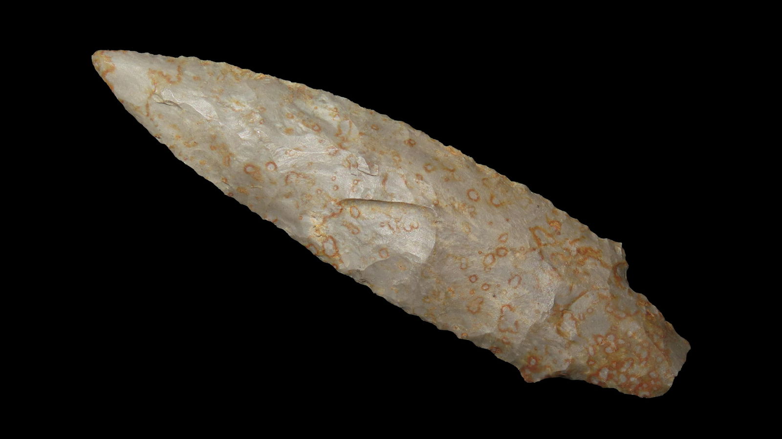 3.1/4" Little Bear Creek Mississippi EX: Emmit Jones Coll.: 3.1/4" Little Bear Creek Mississippi EX: Emmit Jones Coll.