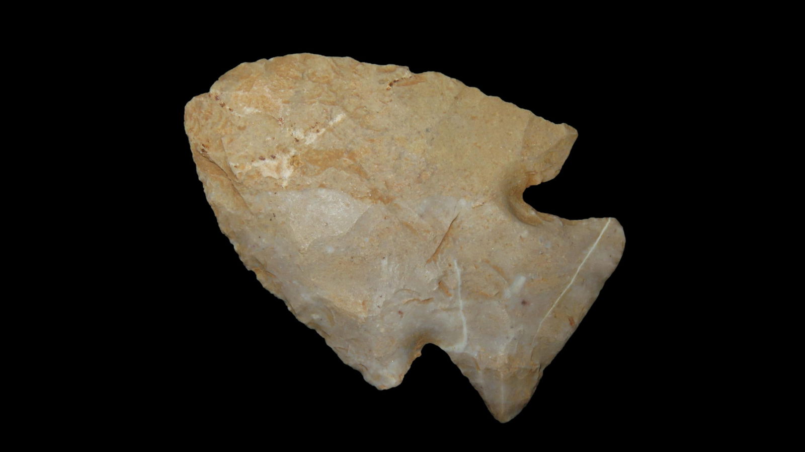 2.1/4" Hardin From KY, Miss, FL, Tenn AL, GA, EX: Walt McIntire (1 of 6)