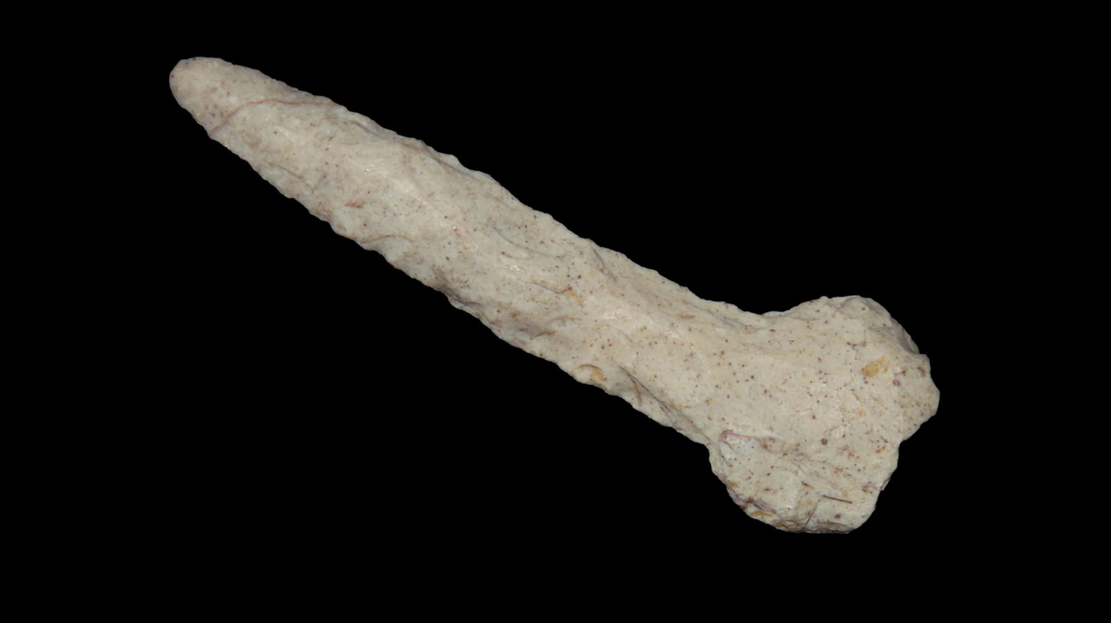 2.7/8" Paddle Drill Burlington Howard Co., Mo (1 of 7)