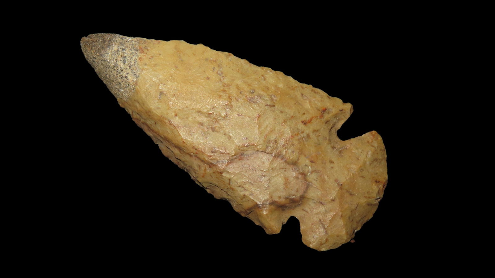 Dovetail Restored Tip Greene Co ILL: Dovetail Restored Tip Greene Co ILL