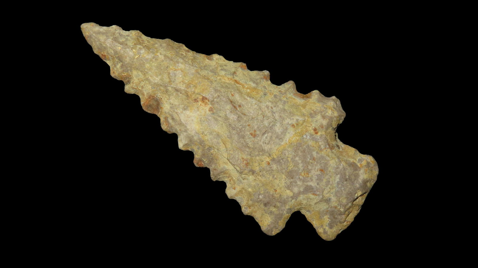 2.7/8" Serrated Kirk Western North Carolina EX: Emmit Jones Coll: 2.7/8" Serrated Kirk Western North Carolina EX: Emmit Jones Coll