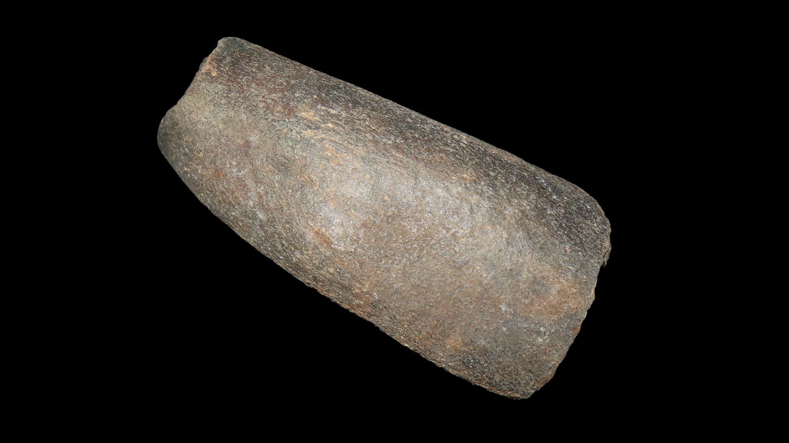 4.3/8" Fossilized Tusk Flordia Mastadon or Similar 234 Grams: 4.3/8" Fossilized Tusk Flordia Mastadon or Similar 234 Grams