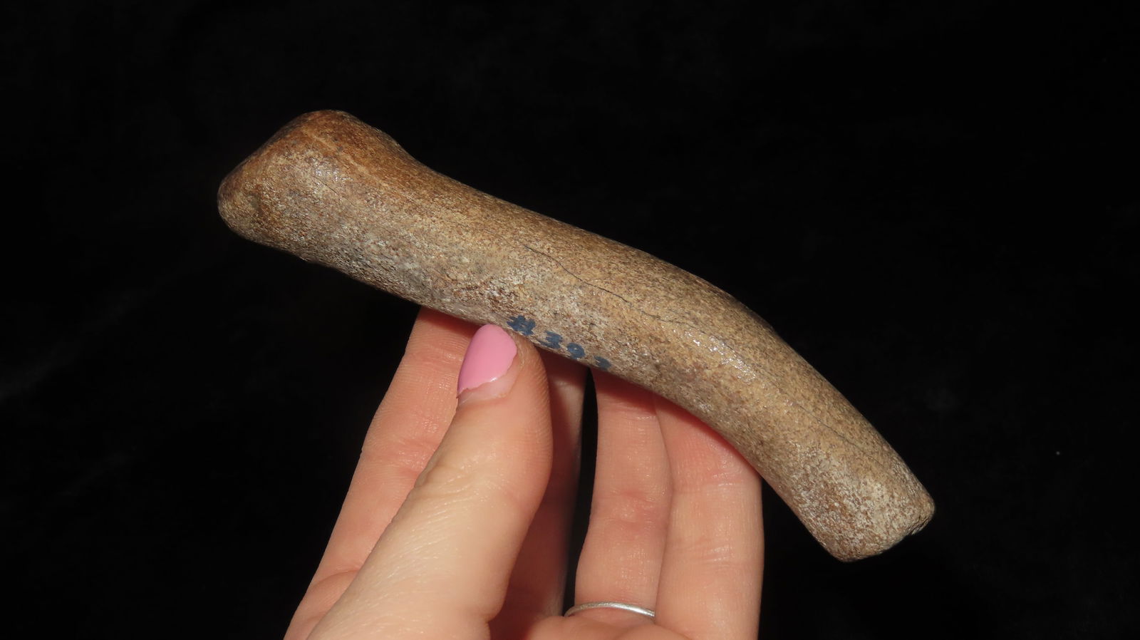 4.5/8" Fossilized Bone Mo River - 3