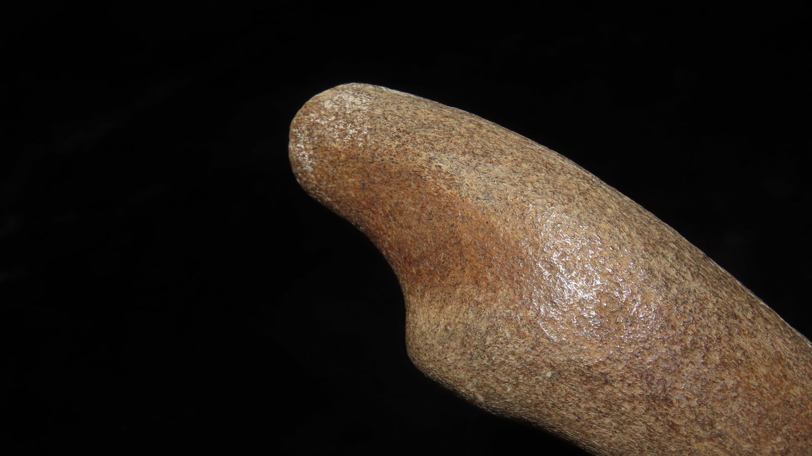 4.5/8" Fossilized Bone Mo River - 4