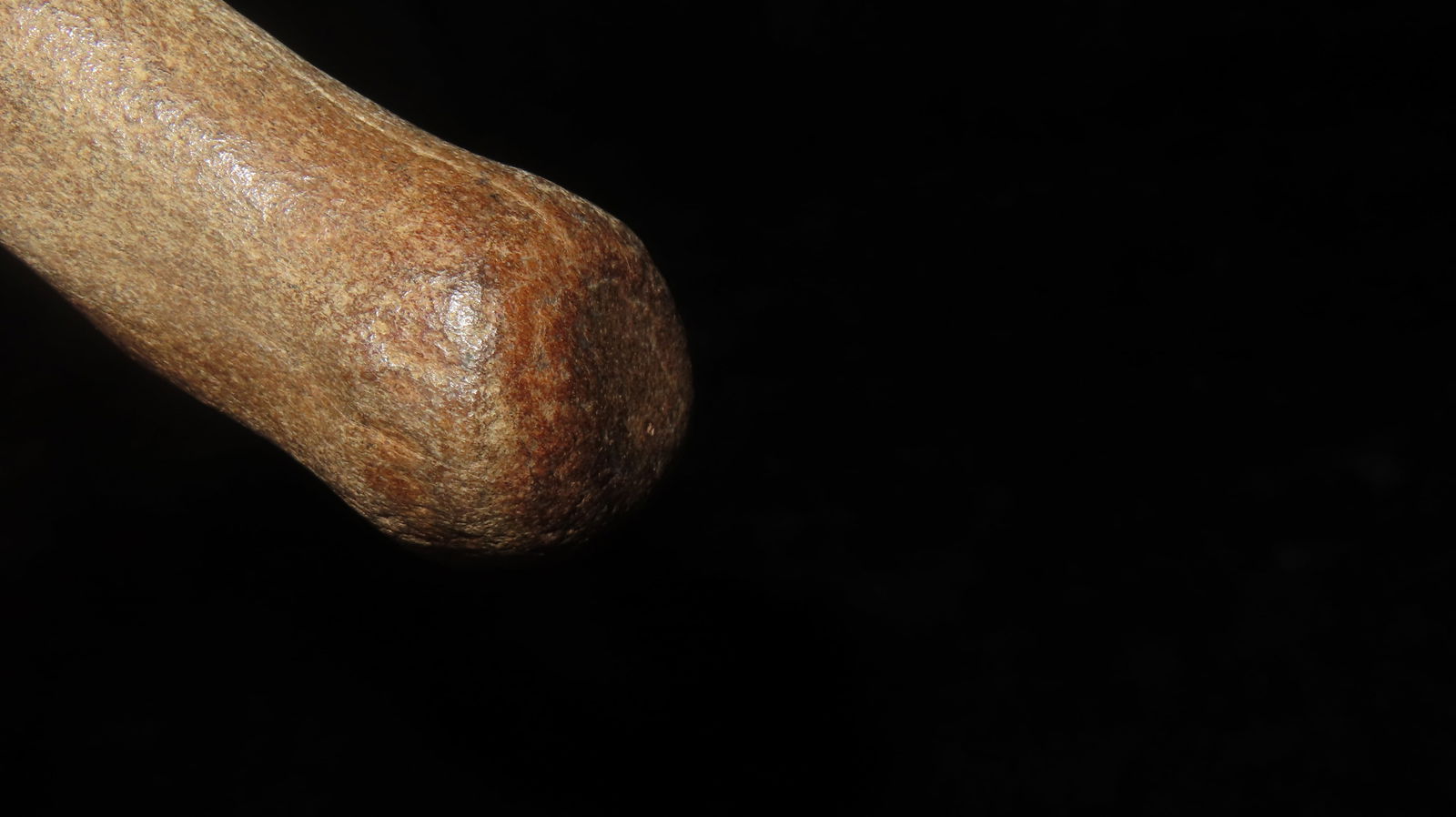 4.5/8" Fossilized Bone Mo River - 5