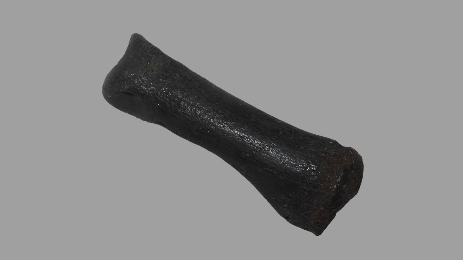 3.1/2" Long Fossilized Bone Large Rare Style Found In Kansas (1 of 6)