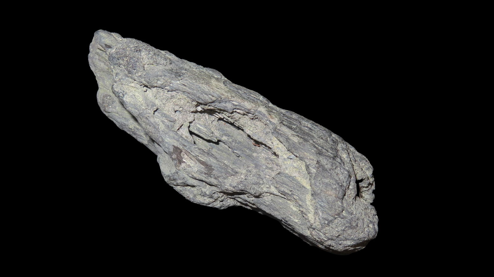 4.5/8" Long Fossilized Petrified Wood Found In Wyoming (1 of 8)