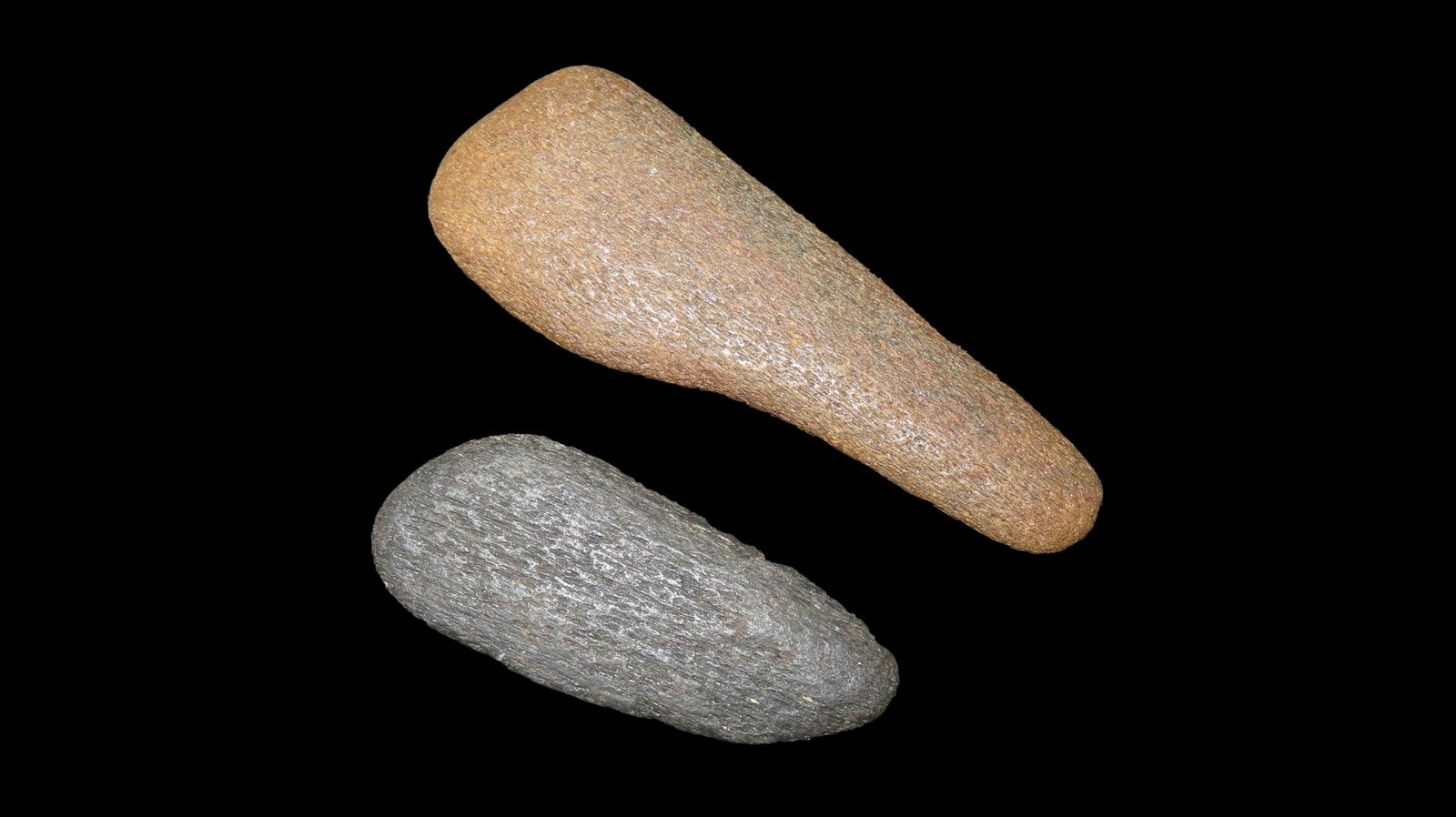 Rare River Found Bone Fossils ound In Midwest USA (1 of 7)