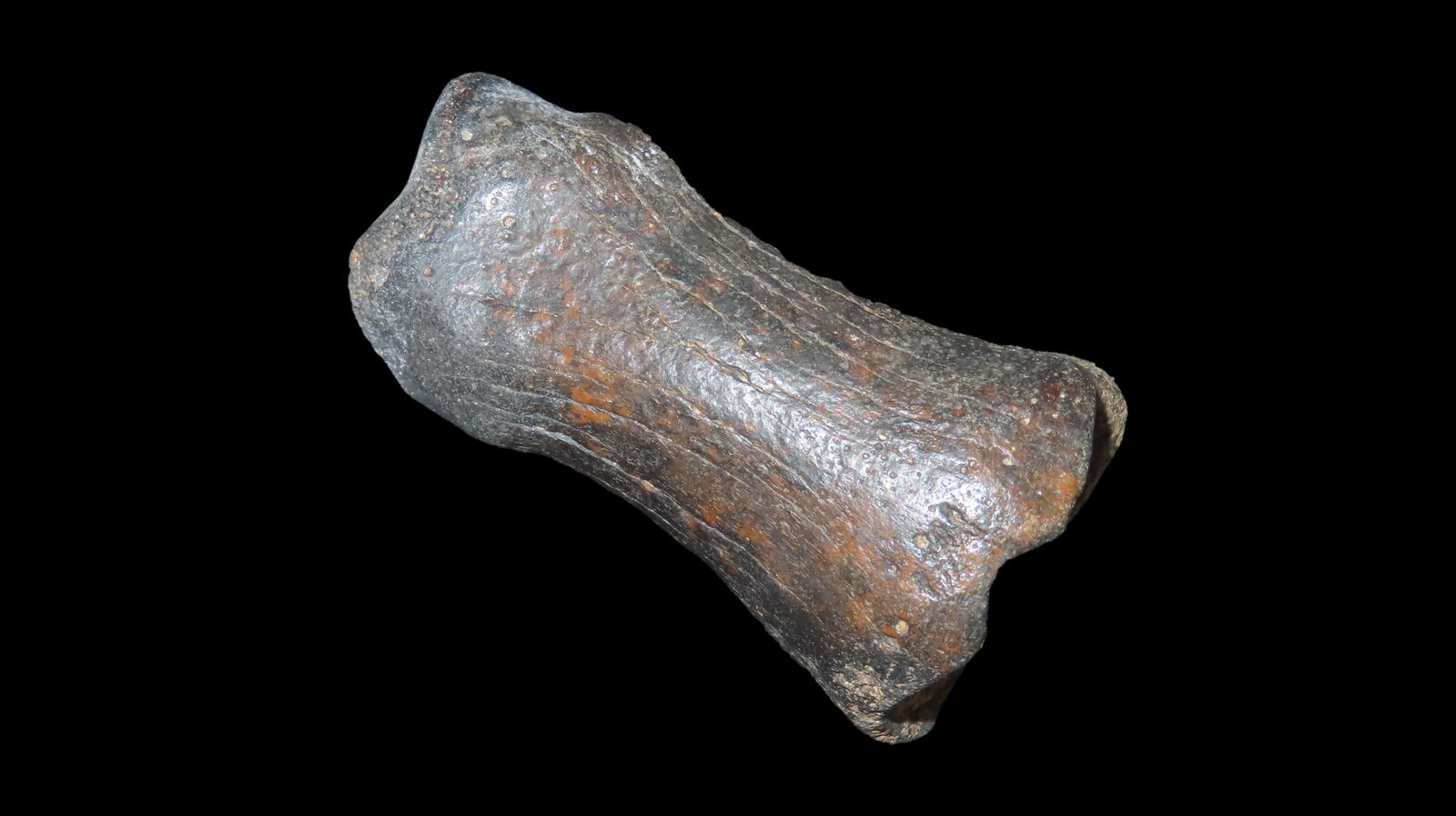 3.1/4" Long Fossilized Bone Large Rare Style Found In Kansas (1 of 8)