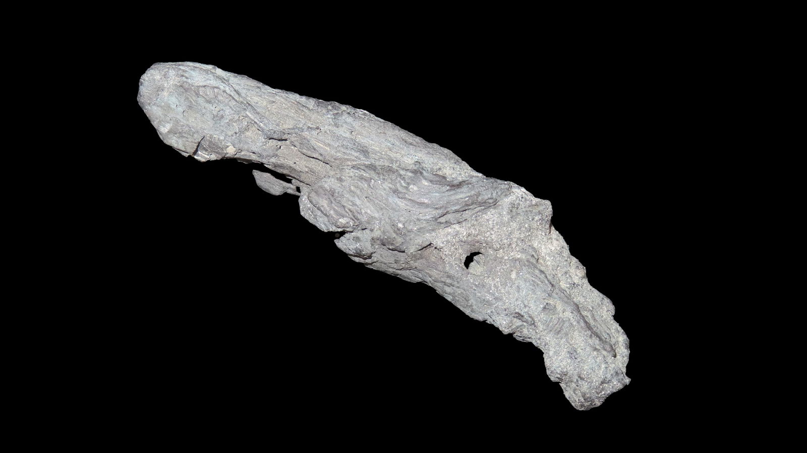 5. 3/4" Fossilized Wood Found in Wyoming: 5. 3/4" Fossilized Wood Found in Wyoming