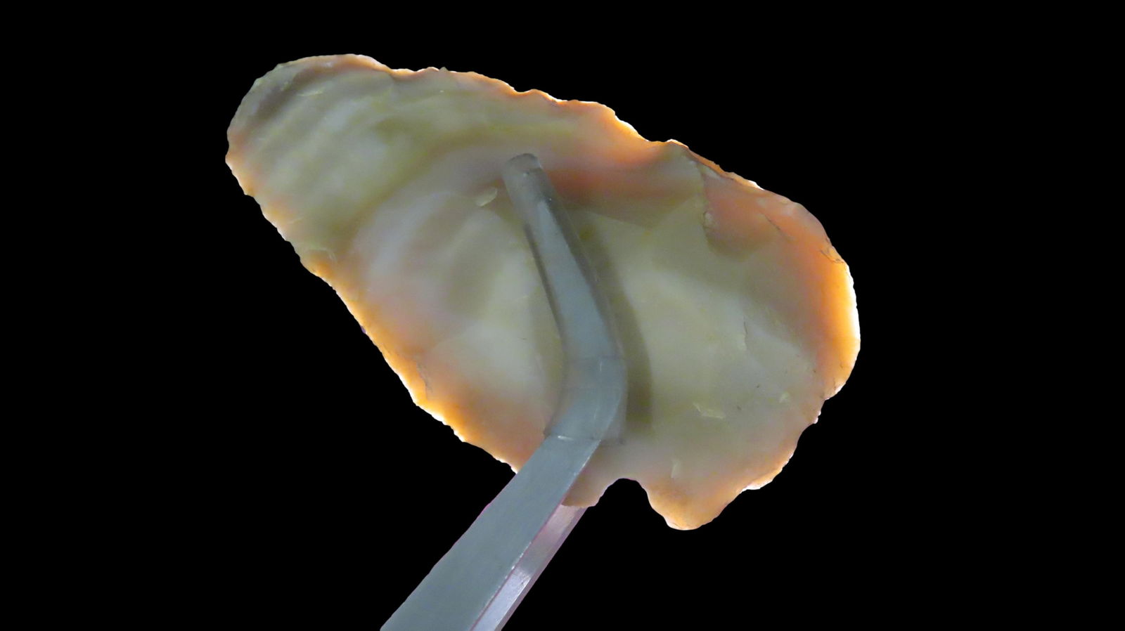 Eccentric, Single Notch, Lee Co., Arkansas: Eccentric, Single Notch, Lee Co., Arkansas