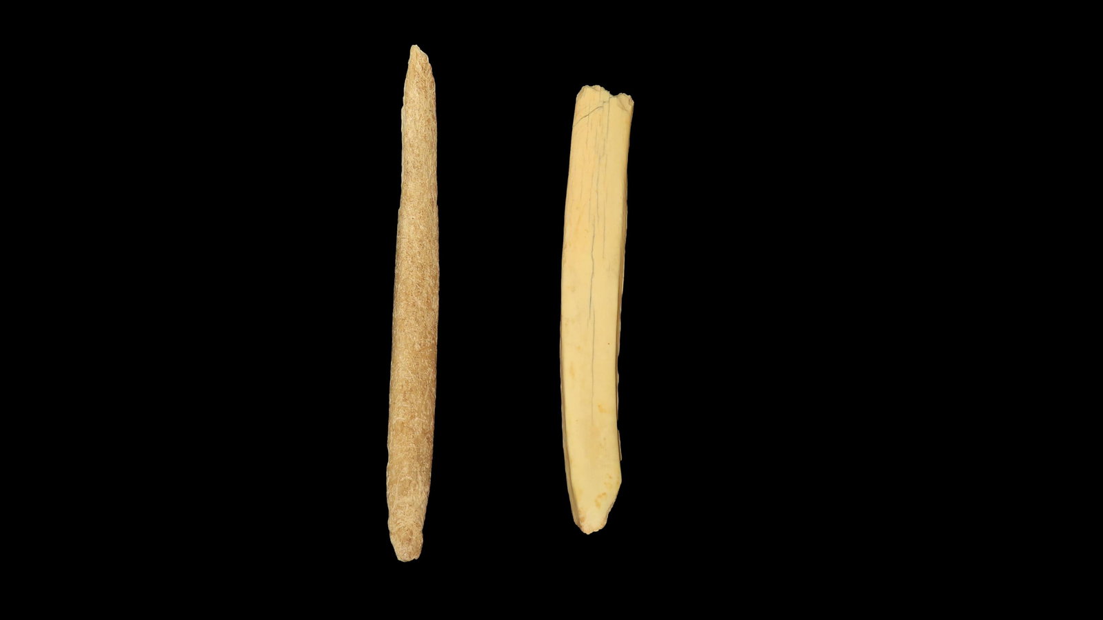 Pair of Mandan, Bone Quill Fateners, South Dakota: Pair of Mandan, Bone Quill Fateners, South Dakota
