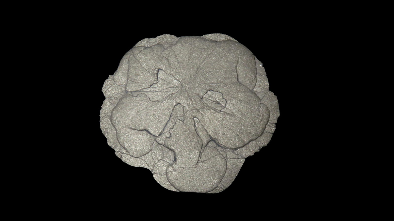 Miner Dollar, Sparta Mine, Sparta Illinois: Miner Dollar, Sparta Mine, Sparta Illinois