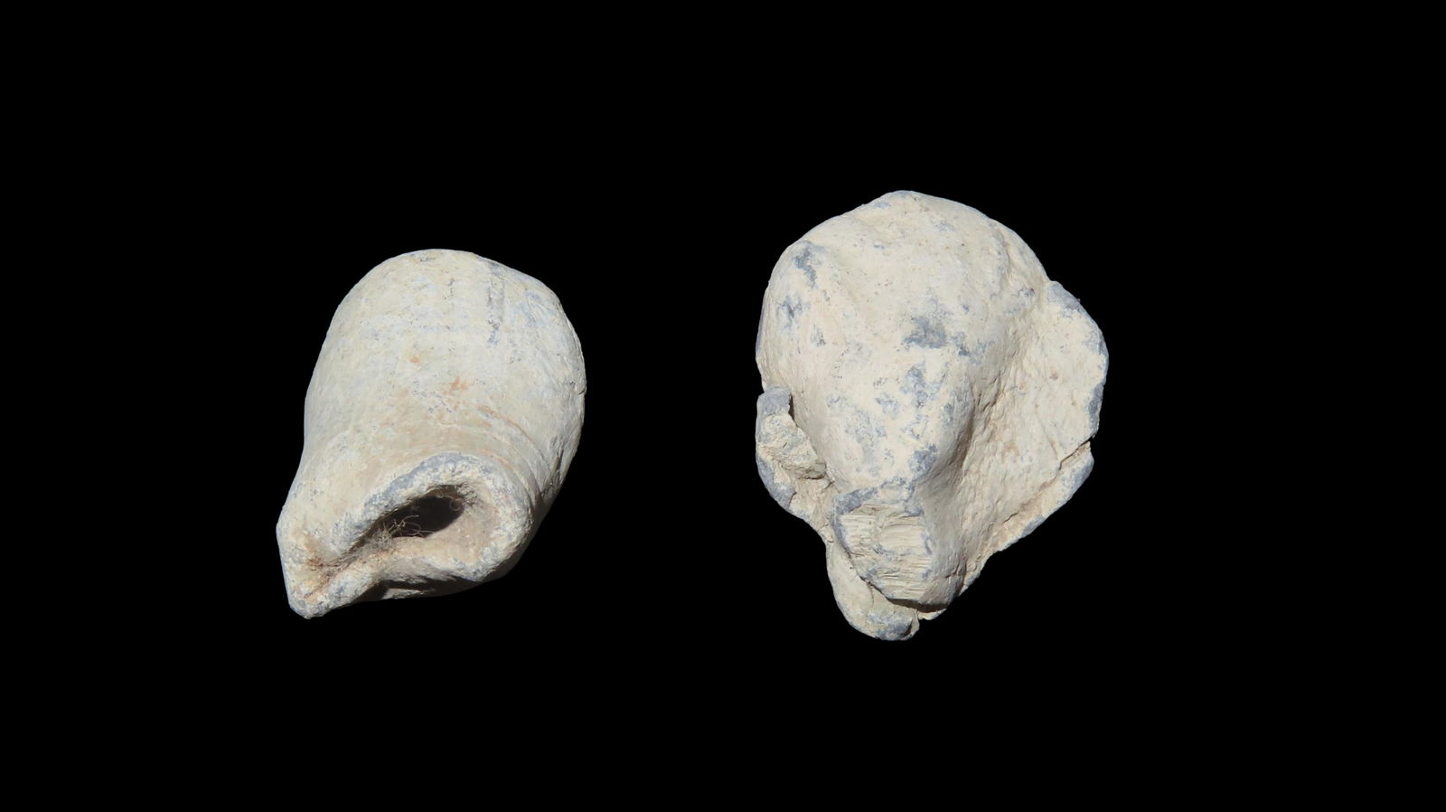 Fired Civil War, Musket Ball / Bullet, Found in Tennessee (1 of 3)