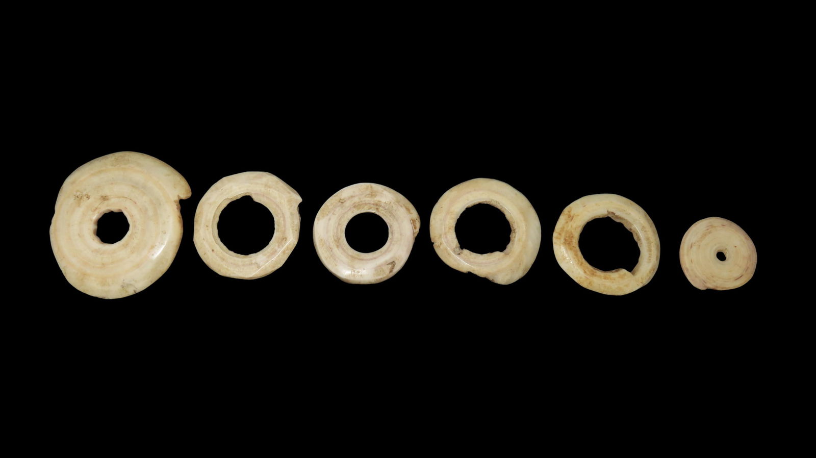 Set of 6 Yua Wenga/Conus Currency Shell Rings from Papua New Guinea, 1700-1800s: Set of 6 Yua Wenga/Conus Currency Shell Rings from Papua New Guinea, 1700-1800s
