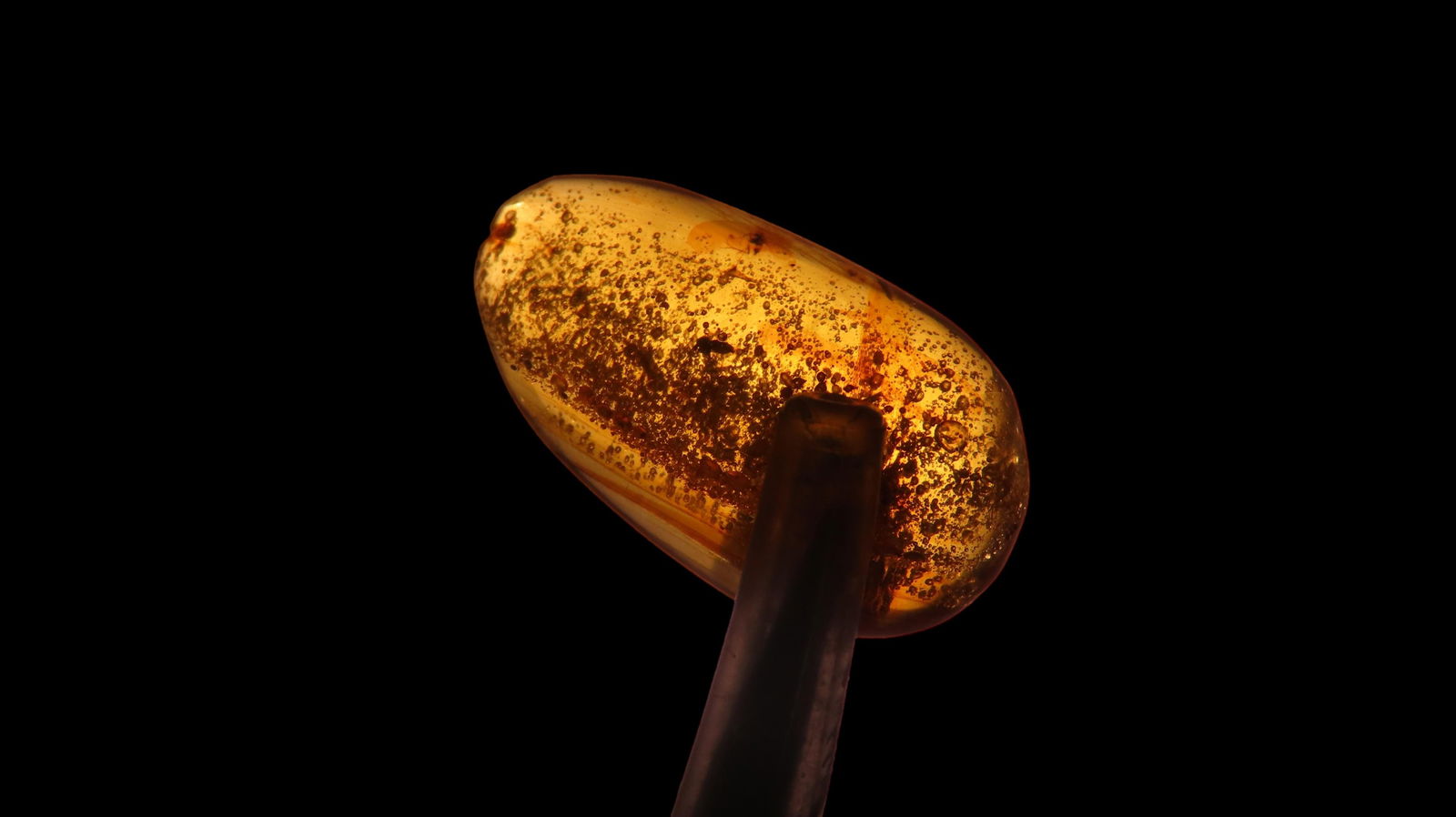 Dinosaur Age Amber with Insect, 100-90 Million Years Old, Cretaceous Era, Discovered in Hukawng (1 of 9)