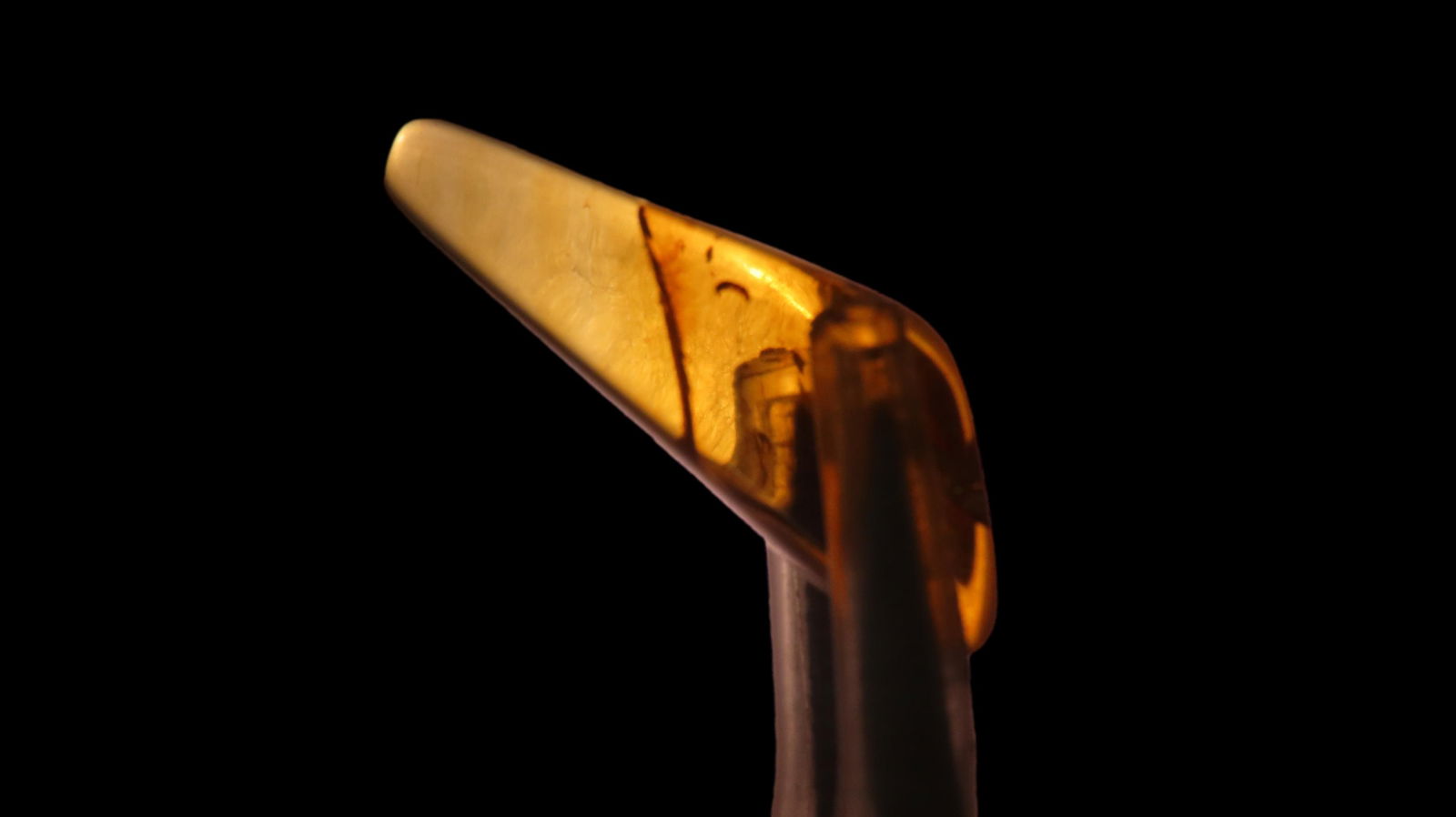 Dinosaur Age Amber with Insect, 100-90 Million Years Old, Cretaceous Era, Discovered in Hukawng: Dinosaur Age Amber with Insect, 100-90 Million Years Old, Cretaceous Era, Discovered in Hukawng Valley Myanmar (Burma)