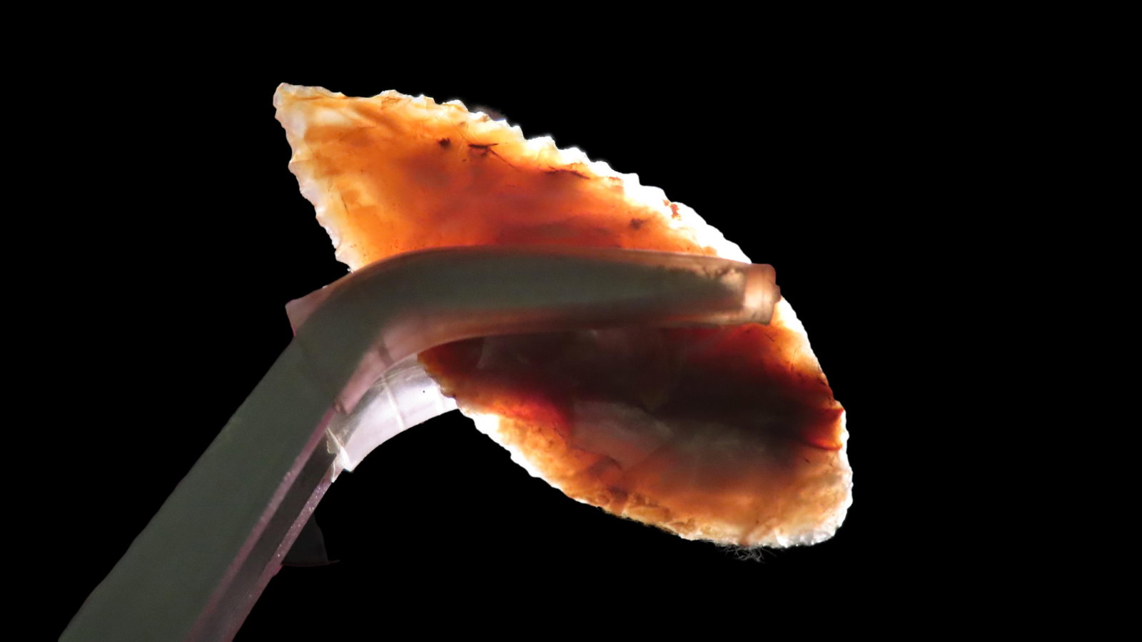 1 9/16" Cascade Gem Point, Columbia River Washington: 1 9/16" Cascade Gem Point, Columbia River Washington