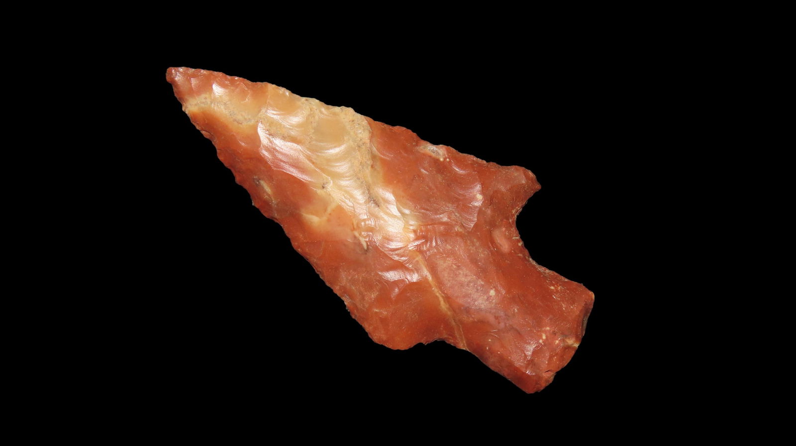 2" Smithsonia, From Southeast Region of US, Ex. Walt McIntire (1 of 6)