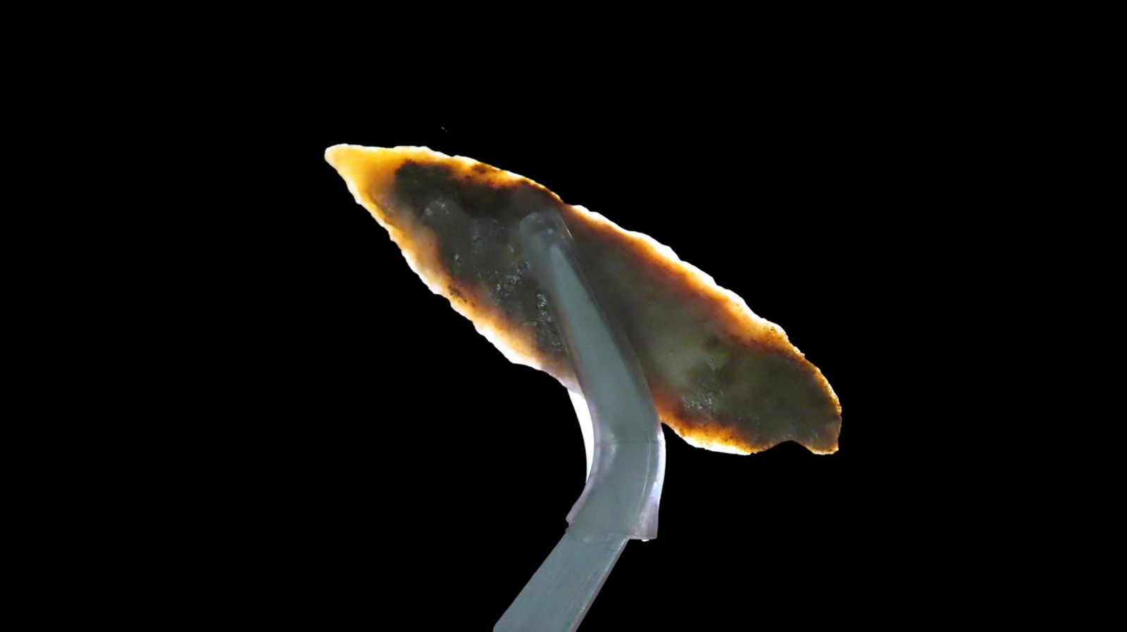 1 3/4" Cascade Gem Point, Columbia River Washington: 1 3/4" Cascade Gem Point, Columbia River Washington