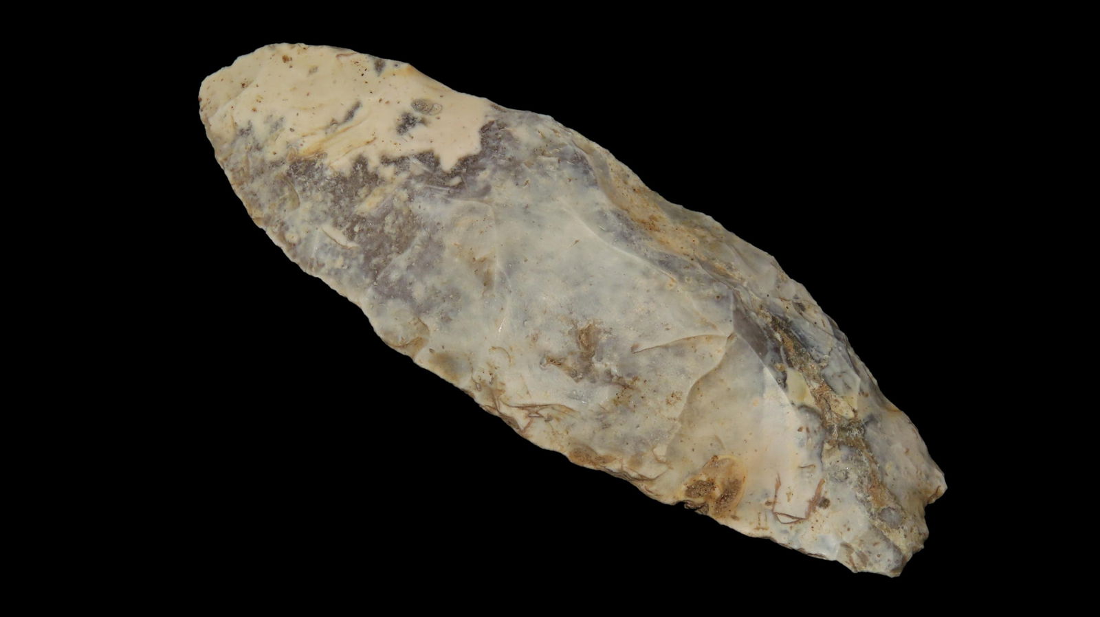 3 11/16" Coral Thonotosassa, Tampa, Florida, Ex. Michael Gorgas (8-2000), Ex. Jim Lee Collection, (1 of 6)