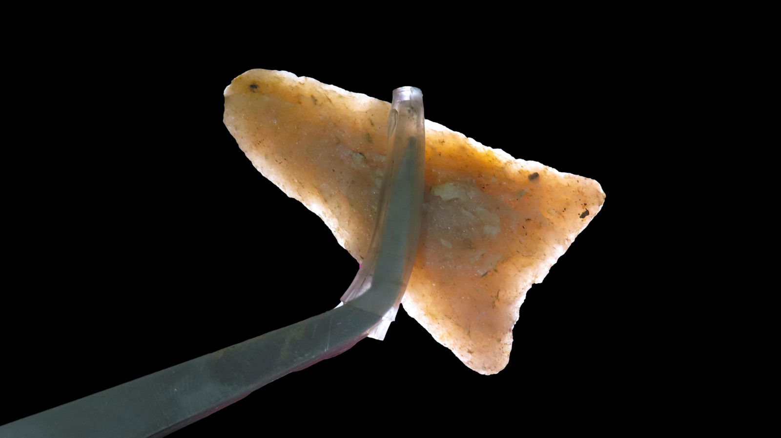 1 5/8" Dalton, Paleo Transitional Quartzite Material, Ground Base, Found near the town of Chester,: 1 5/8" Dalton, Paleo Transitional Quartzite Material, Ground Base, Found near the town of Chester, North Carolina