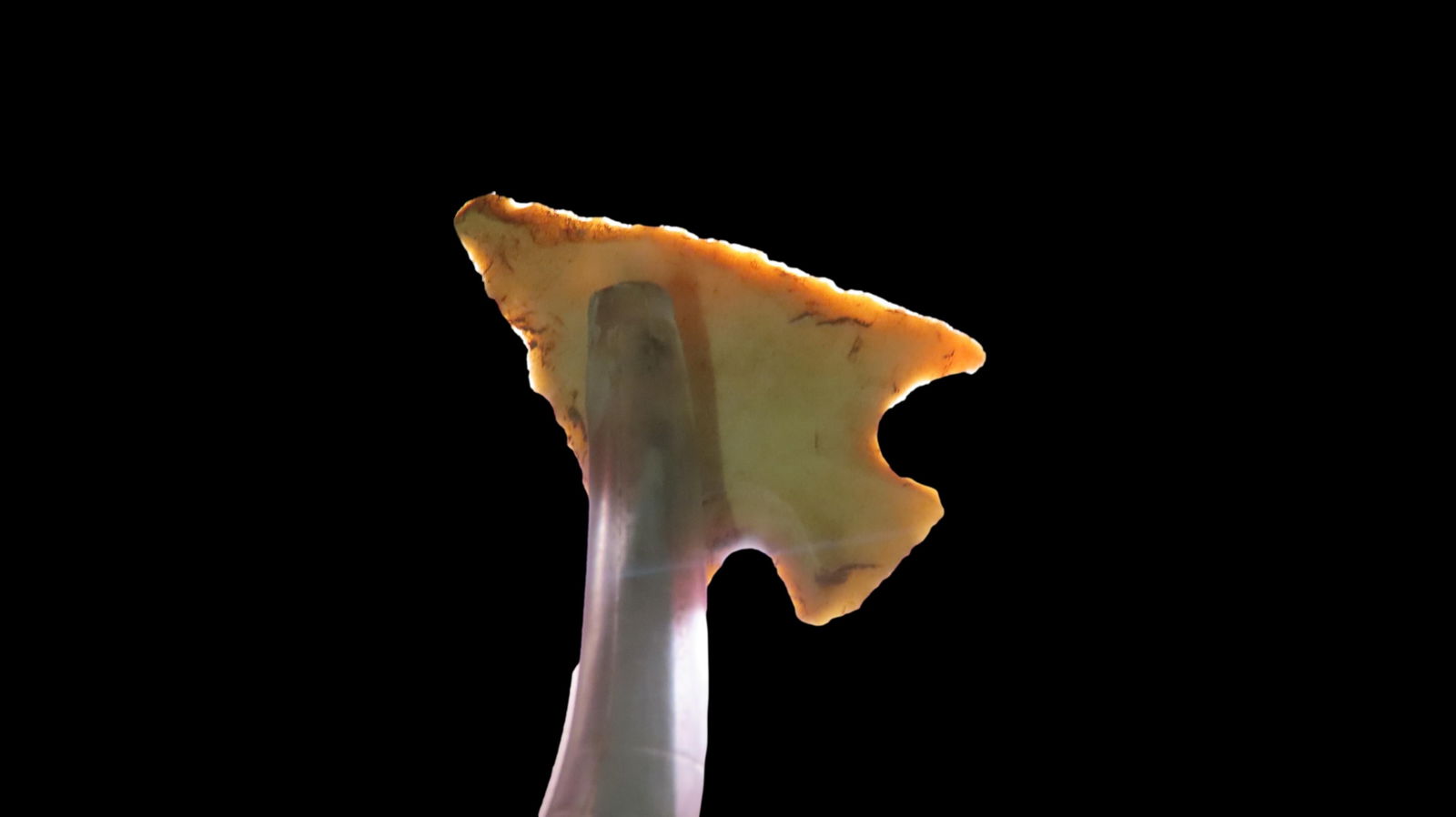 7/8" Outstanding Bird Point, Arkansas / Missouri, Ex. Emmit Schultz Collection: 7/8" Outstanding Bird Point, Arkansas / Missouri, Ex. Emmit Schultz Collection