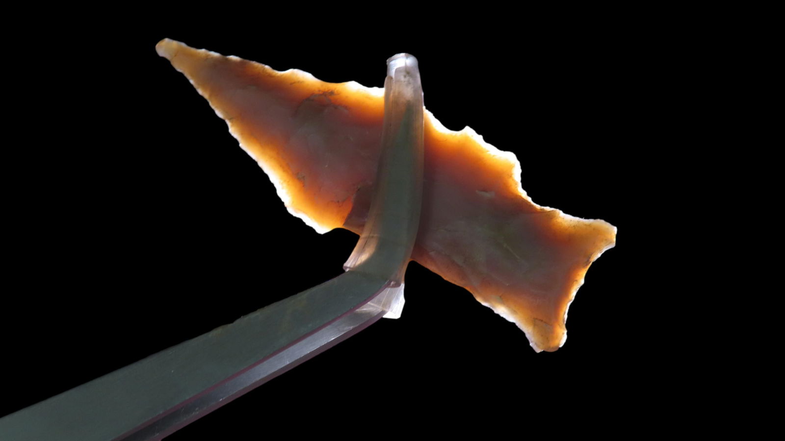 2 1/8" Needle Tip Nolan, Central Texas: 2 1/8" Needle Tip Nolan, Central Texas