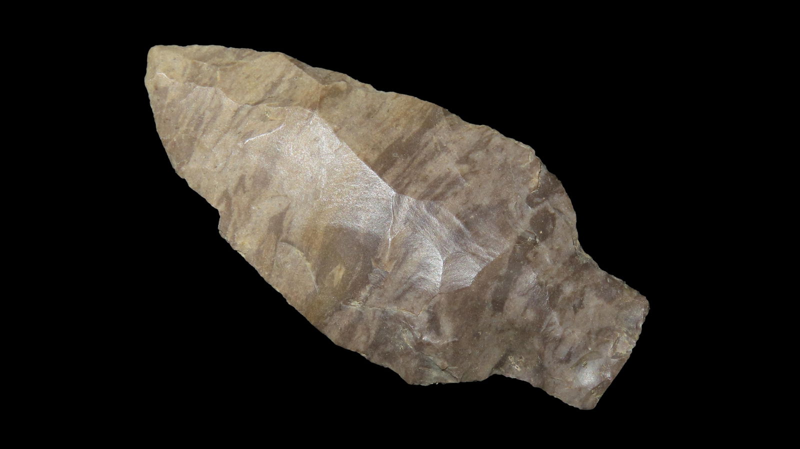 2 1/2" Adena Robbins, From Southeast, Ex. Walt McIntyre (1 of 4)