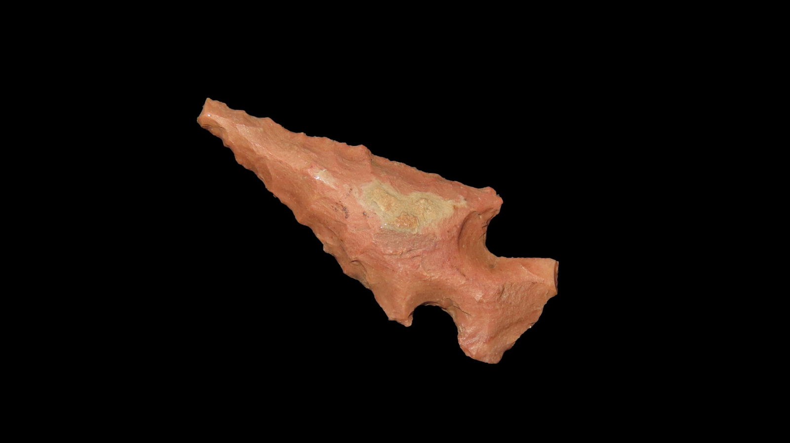 1 1/4" Outstanding Bird Point, Arkansas / Missouri, Ex. Emmit Schultz Collection: 1 1/4" Outstanding Bird Point, Arkansas / Missouri, Ex. Emmit Schultz Collection